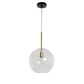 Modern Matt Black and Gold Pendant Light